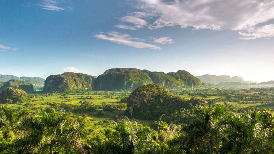 Vinales